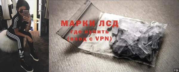 сатива Аркадак