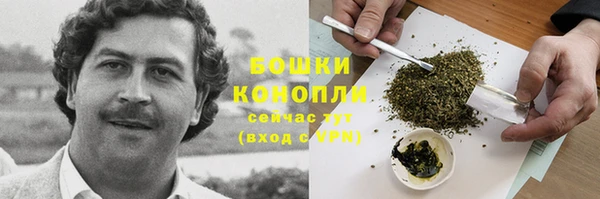 меф Арсеньев