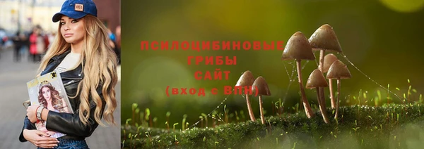 сатива Аркадак