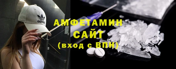сатива Аркадак