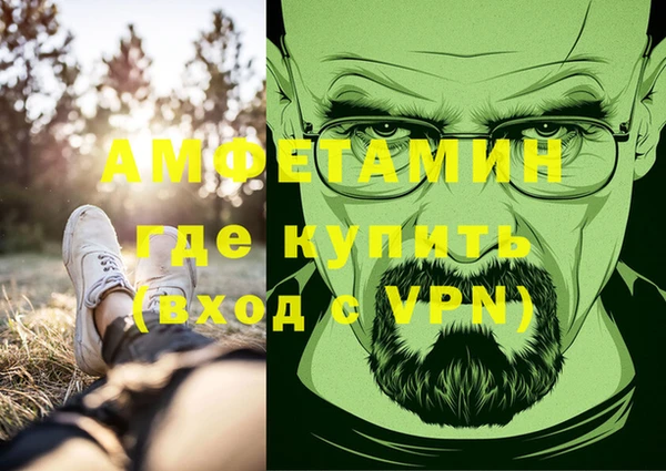 сатива Аркадак