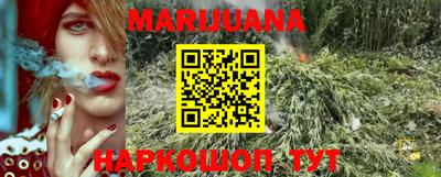 винт Новозыбков