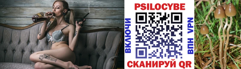 Псилоцибиновые грибы Psilocybe  Серов 