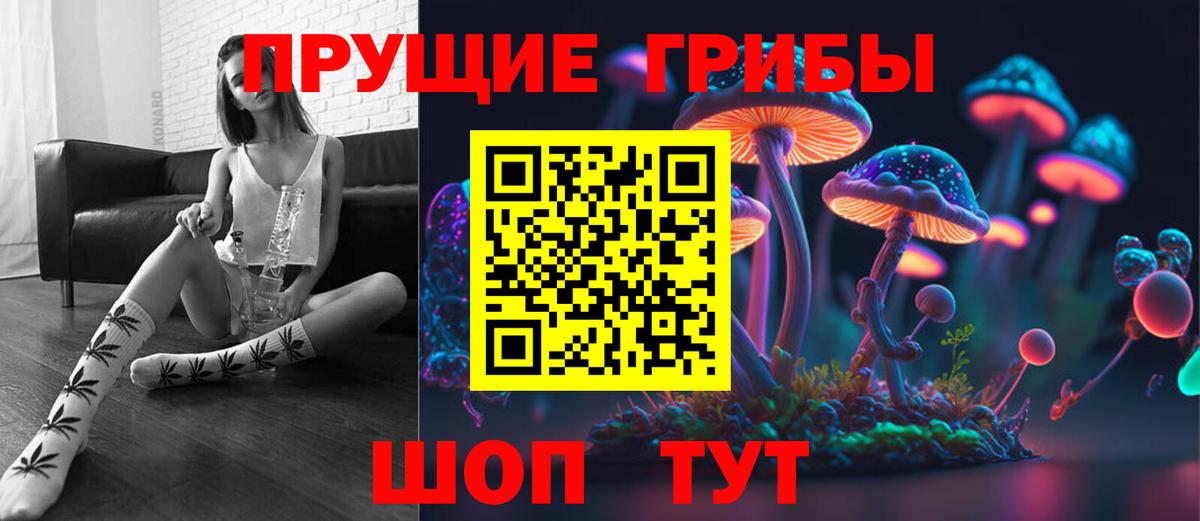 Псилоцибиновые грибы Psilocybine cubensis Серов